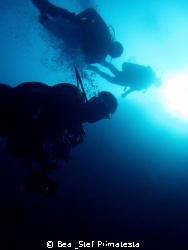"To the depth" by Bea & Stef Primatesta 